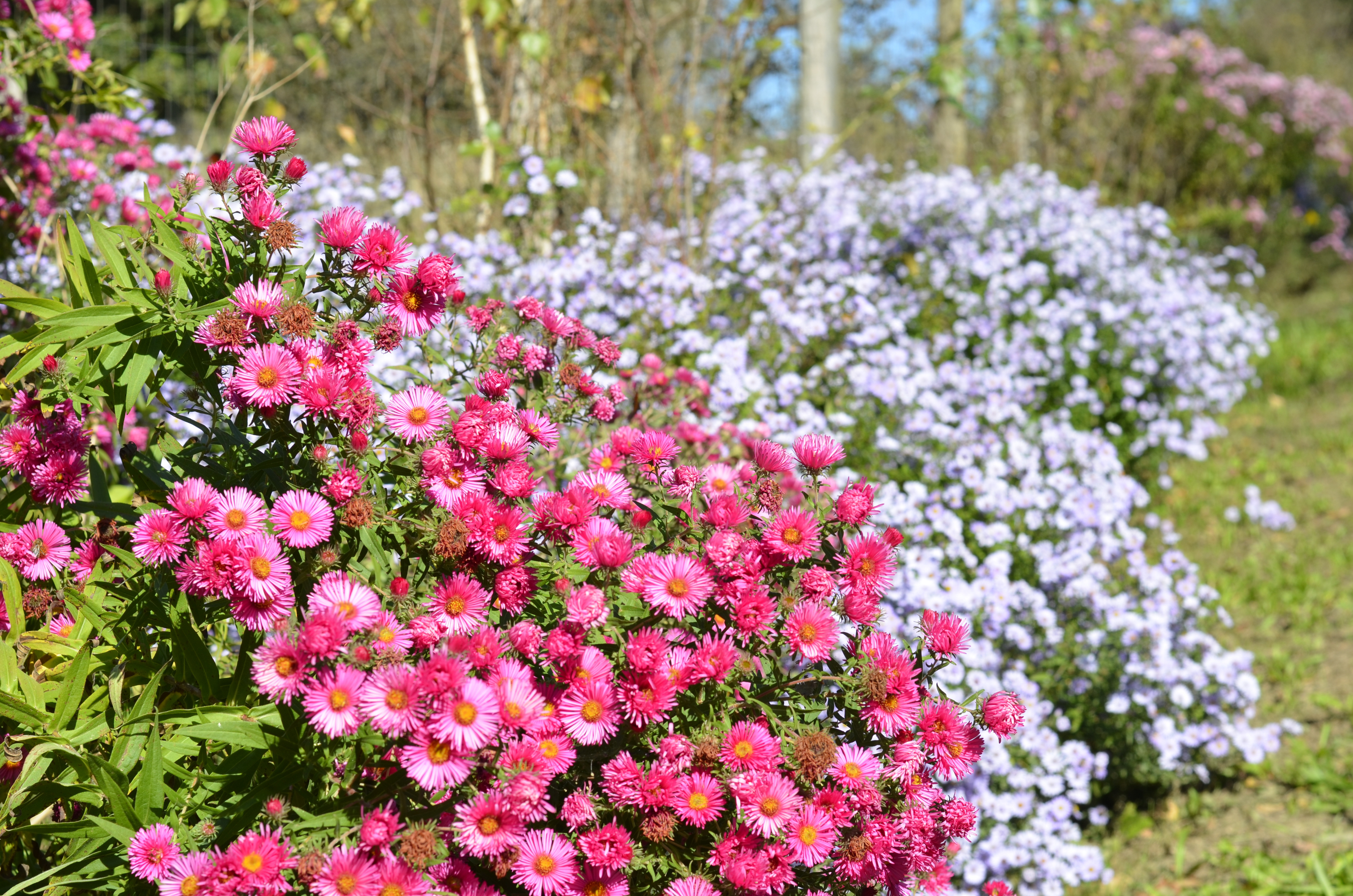 Őrségi vendégház